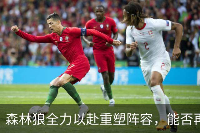 森林狼全力以赴重塑阵容，能否再创佳绩？